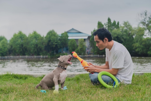 アムリカンのいじめっ子の子犬と遊ぶ男