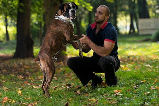 Man Playing With Dog In Park