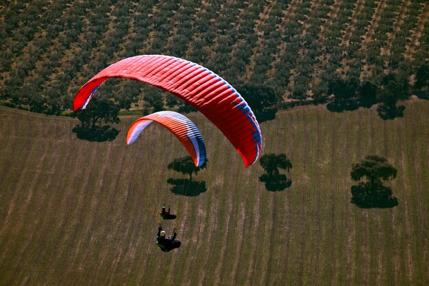 Man practicing paragliding extreme sport