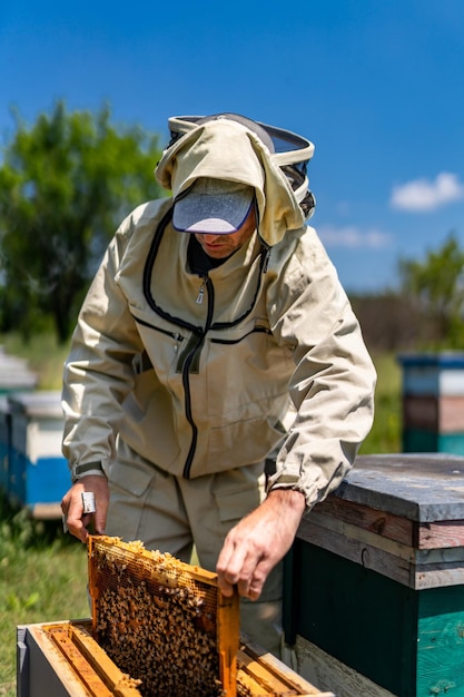 Man in protective beekeeping suit Young beekeeper in suit working in apiary