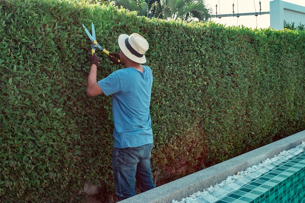 A man pruning branches in the garden