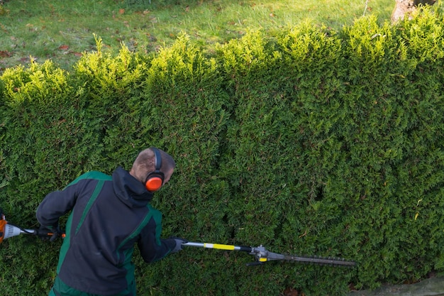 写真 庭で植物をる男