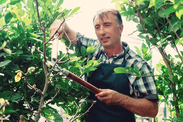 Man pruning tree with clippers male farmer cuts branches in spring garden with pruning shears or