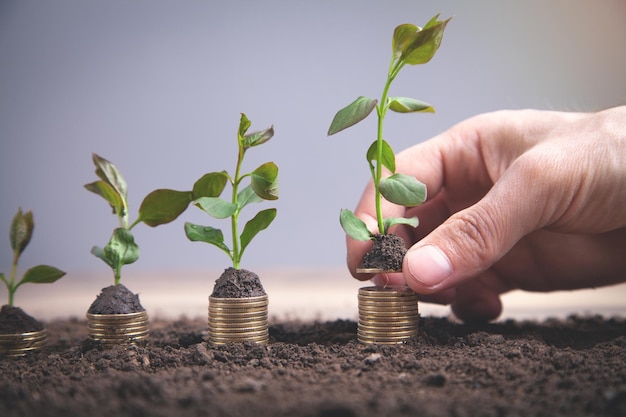 Man putting coin into rising stack of coins with plant