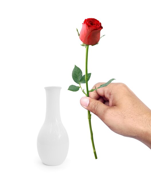 Man putting red roses into vase on white background
