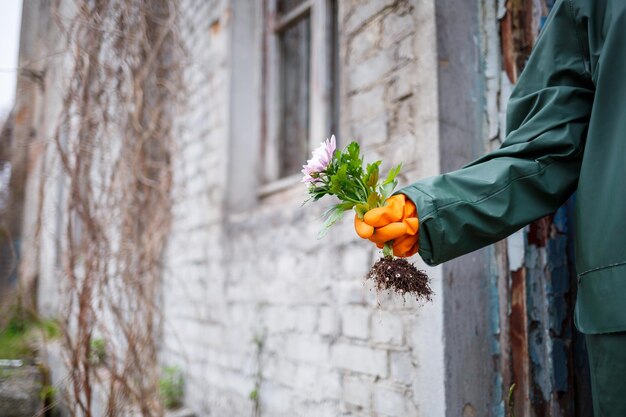 A man in a raincoat and gas mask collects a flower from a scorched poisonous earth Air pollution concept Ecological catastrophy