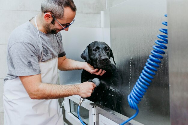 Foto man reinigt hond met water