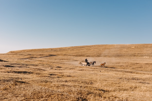 Man ridding a cart with horse on an open field