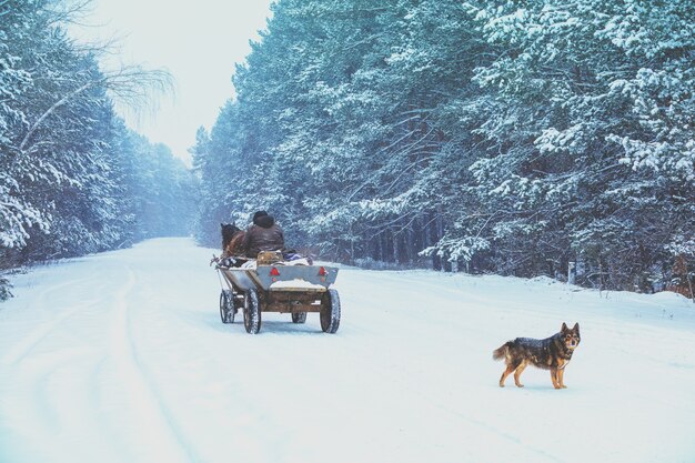 A man rides in a horse-drawn cart on a snowy road in winter