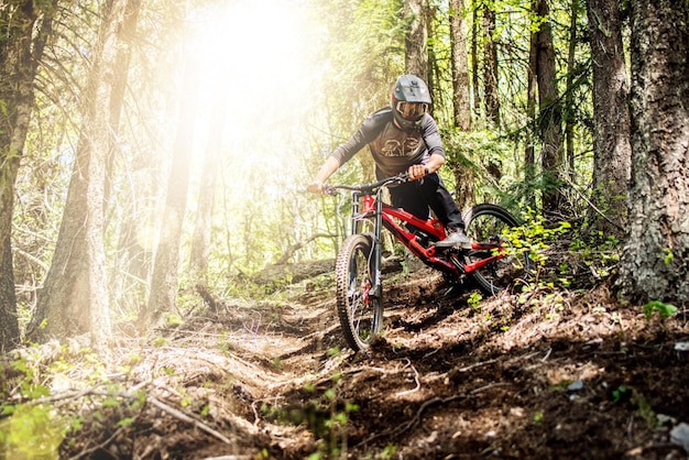 Man riding bicycle on dirt road in forest