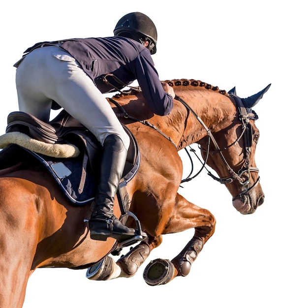 Foto uomo a cavallo su uno sfondo bianco