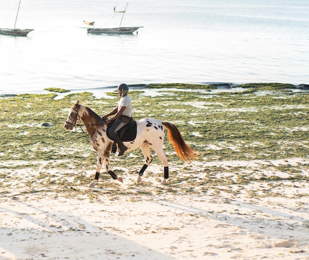 Foto uomo a cavallo sulla spiaggia. foto di alta qualità