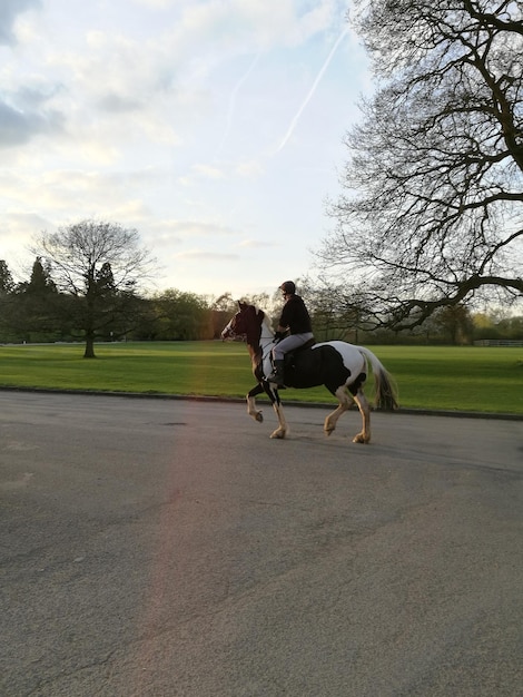 写真 道路のフィールドで馬に乗る男