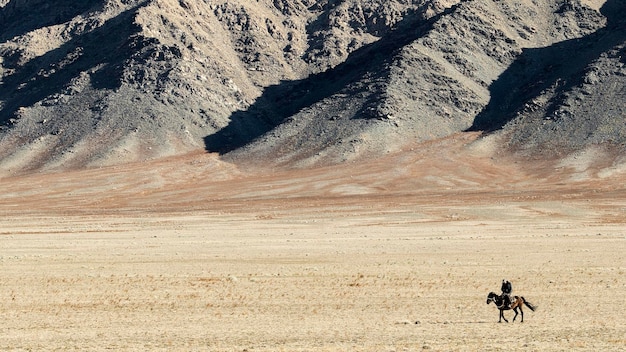 man riding horse at desert