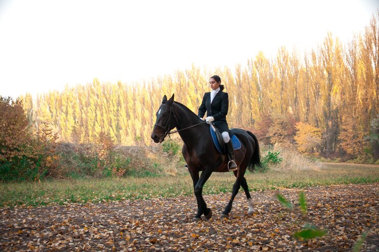 Photo man riding horse on field