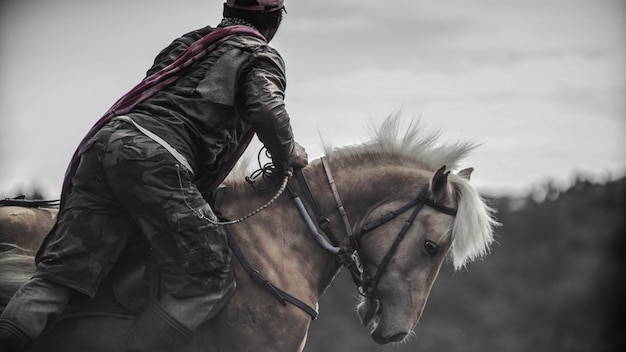 Man riding horse on field