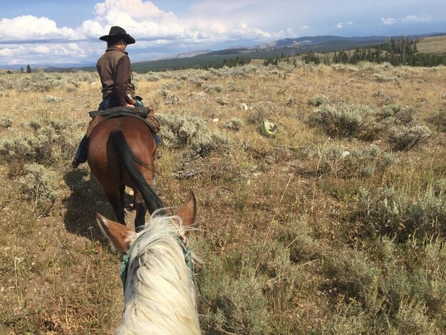 Photo man riding horse on field