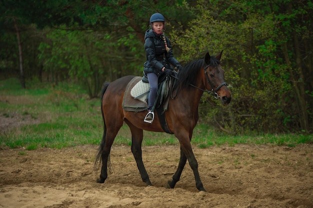 Man riding horse on field