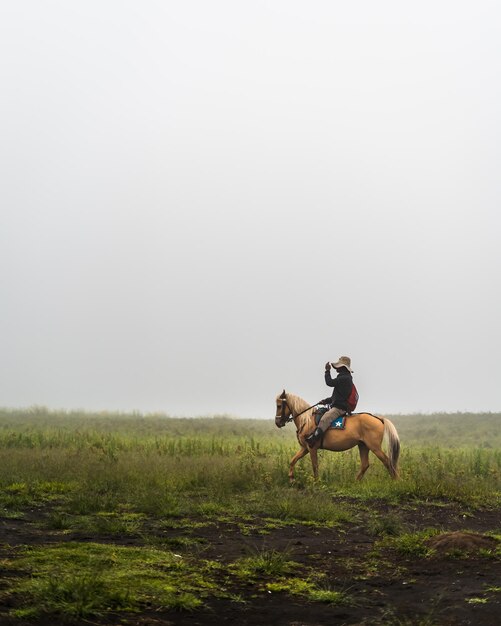 Photo man riding horse on land