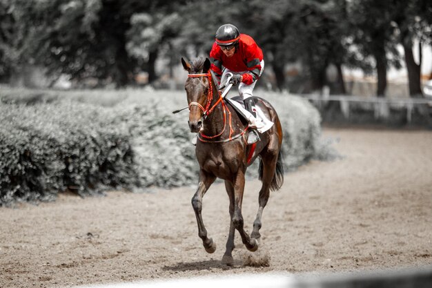 Foto uomo a cavallo in corsa