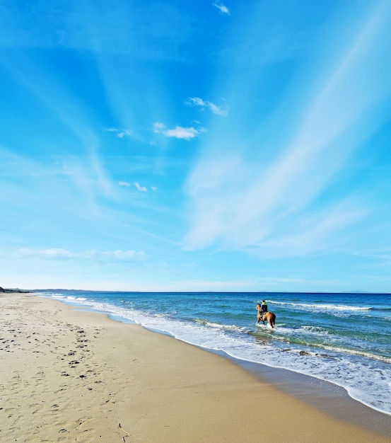 Man riding a horse in the sea Shot in Sardinia Italy