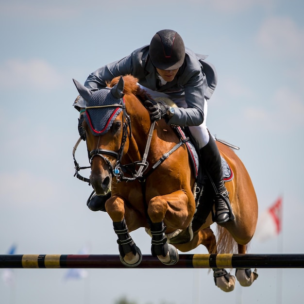 写真 馬に乗った男