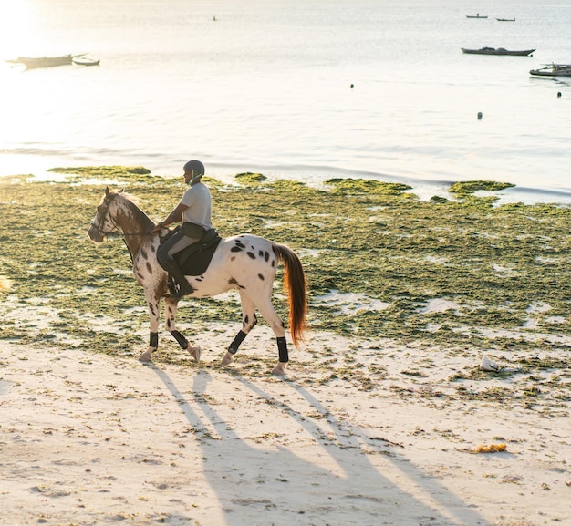 Man rijdt op een paard op het strand. foto van hoge kwaliteit