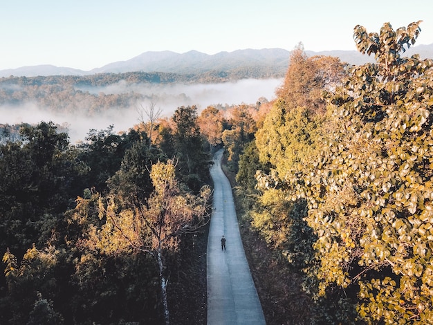 秋の空に向かって木の間で道路を歩く男