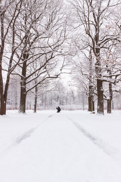 A man on the road in Babolovsky Park Background forest in winter