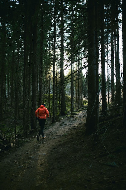 Man running in the pine forest