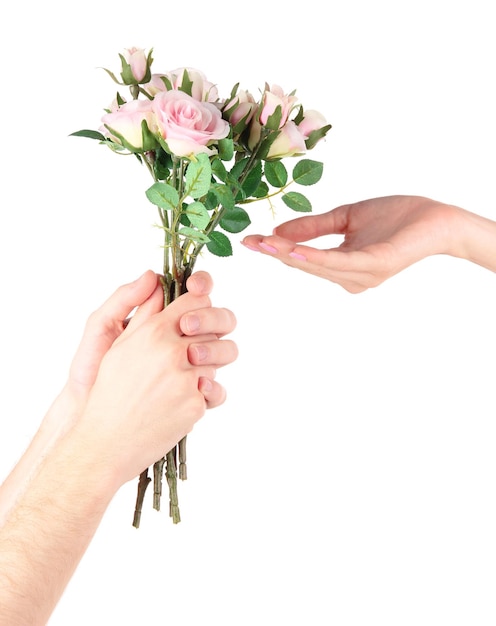 La mano dell'uomo che dà le rose isolate su white