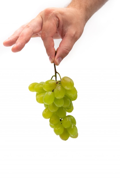 a man's hand holds a branch of green grapes with water drops