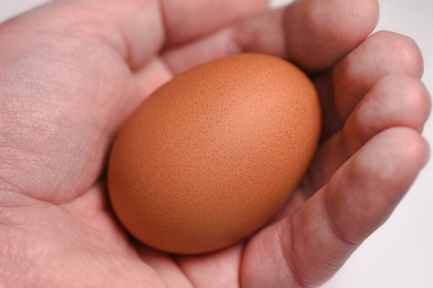 A man's hand holds an egg. The origin of life