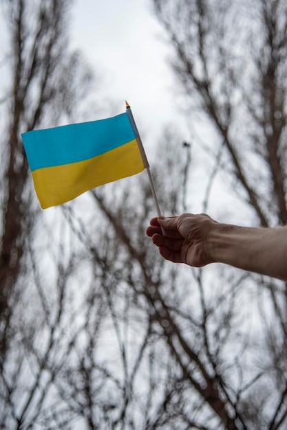 A man's hand holds the Ukrainian flag on a stick against the background of a gray sky and tree branches