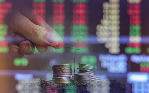 Man's hand put money coins to stack of coins money financial
business growth concept