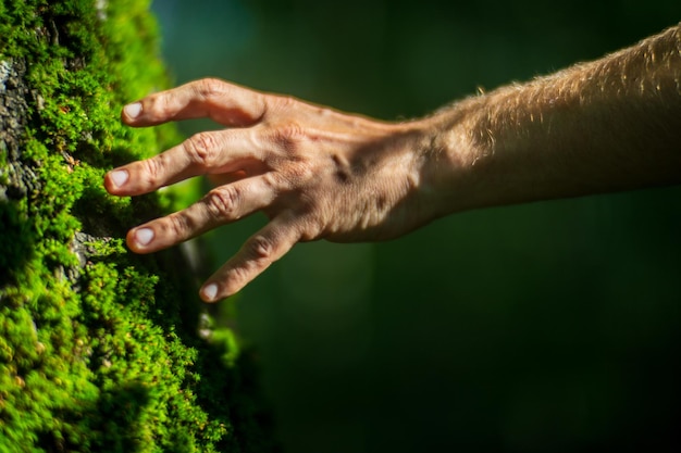 Foto la mano di un uomo tocca il tronco dell'albero in primo piano, la corteccia del legno, la cura per l'ambiente, il concetto di ecologia di salvare il mondo e amare la natura da parte dell'uomo.