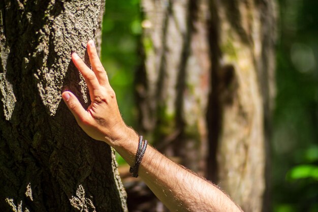 A man's hand touch the tree trunk closeup Bark woodCaring for the environment The ecology concept of saving the world and love nature by human