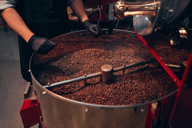 man's hands busy feeling the coffee beans after they have just been roasted perform quality control