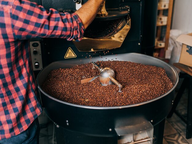 Man's hands holding freshly roasted aromatic coffee beans over a modern coffee roasting machine.