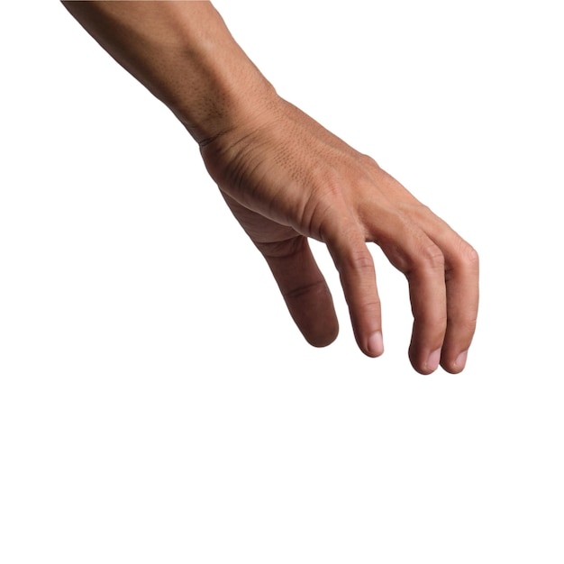 Photo man's hands in various poses on transparent or white background