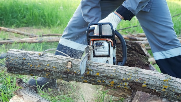 Man saws a log with a chainsaw on a background of green grass.