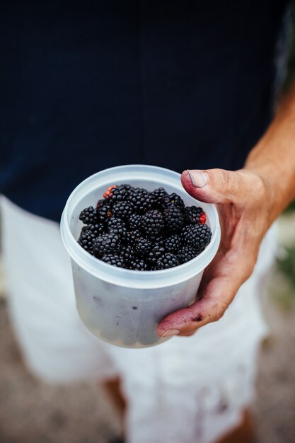 Man showing wild blackberries