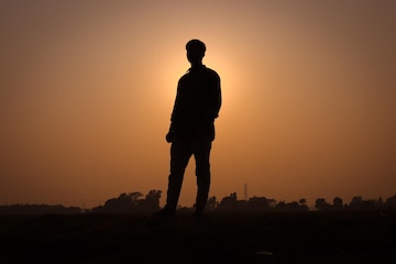 Premium Photo  Amazing sunset in the field with alone standing heart tree