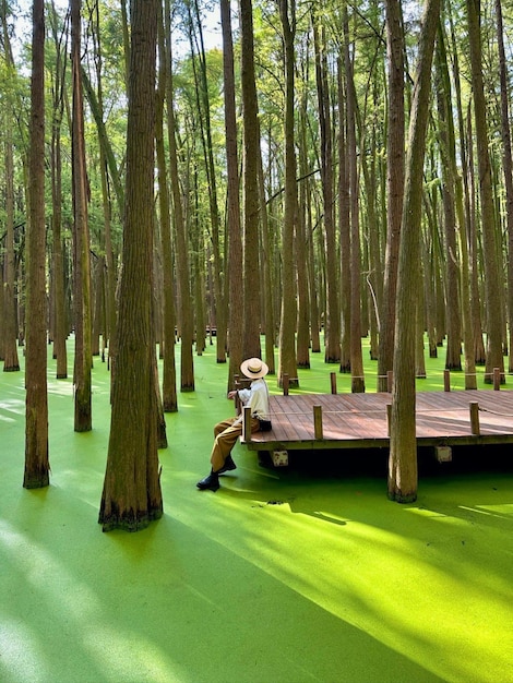 Photo a man sits on a dock in a swamp with a green patch of grass.