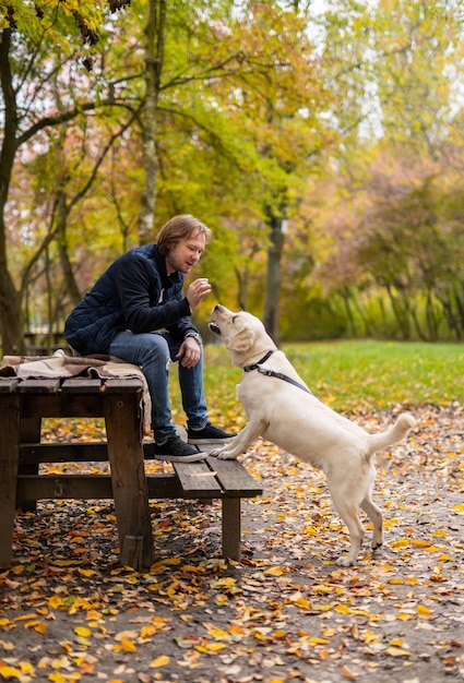 Man sits in park on a bench Labrador dog stands near owner in park Beautiful golden autumn background