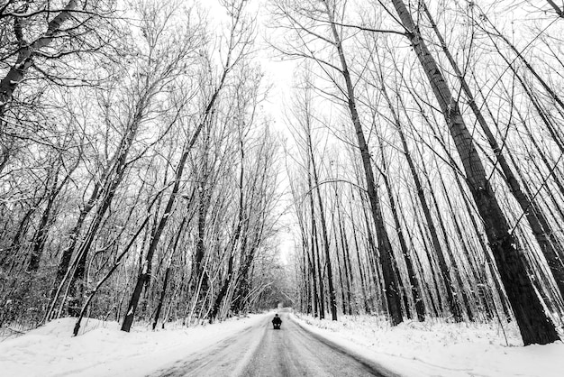 Foto uomo seduto in mezzo agli alberi della foresta