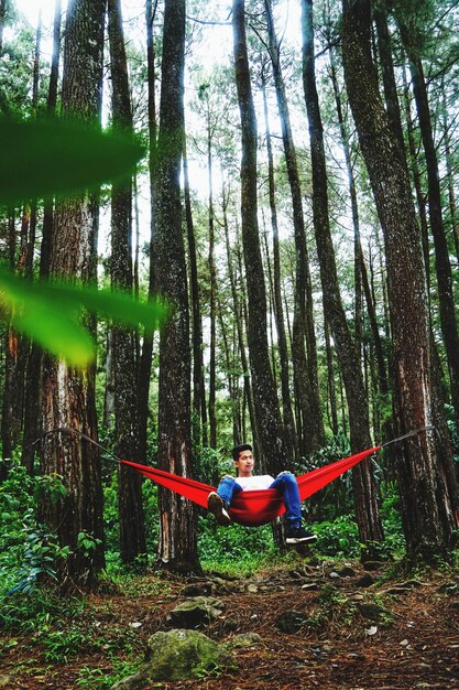 Man sitting on bench in forest