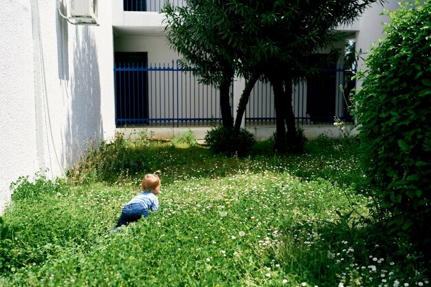 写真 建物の反対側の草の上に座っている男