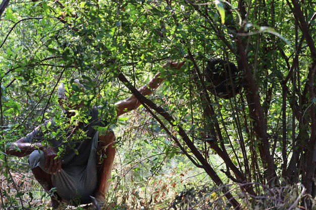 Man sitting on tree in forest