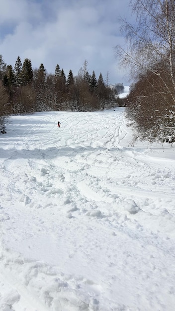 Man skiër op skipiste poeder dag Oekraïense Karpaten